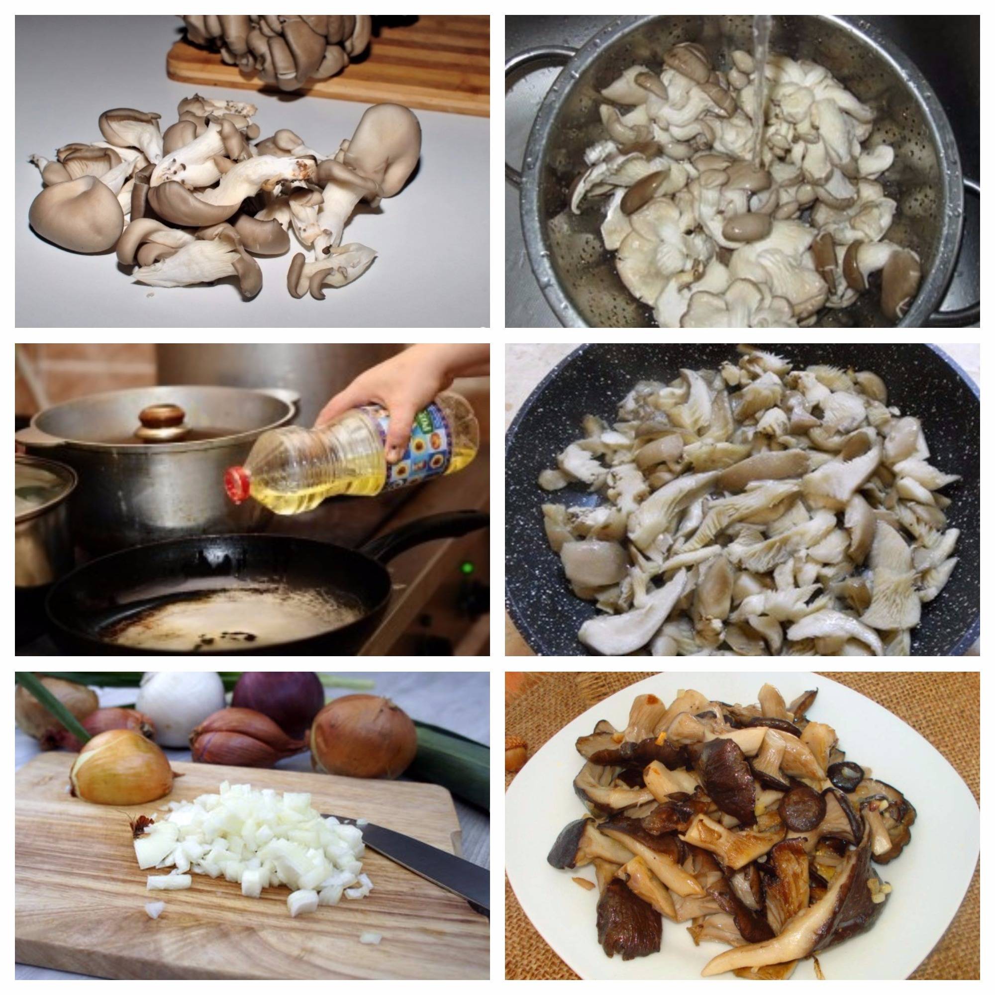 Что приготовить из вешенок грибов быстро и вкусно. рецепты с фото