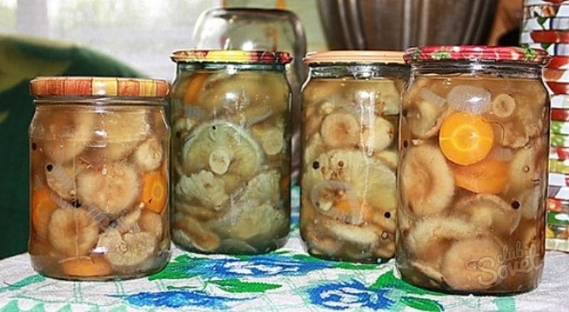 Пошаговый рецепт приготовления маринованных волнушек с картинками