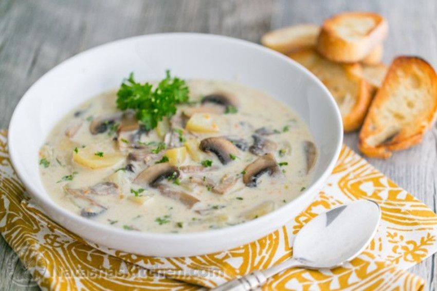 Грибной суп с сыром на молоке. как приготовить молочный суп с грибами? рецепт грибной крем суп с шампиньонами на молоке