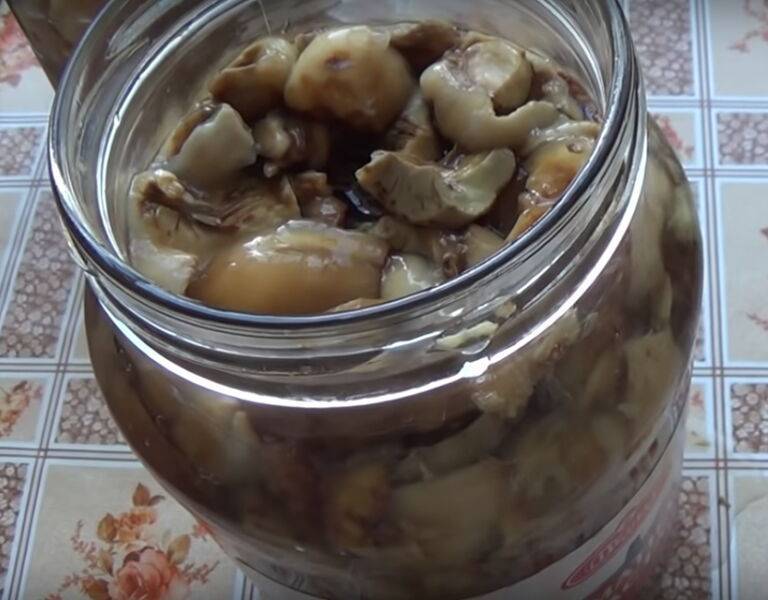 Как готовить гриб валуй на зиму: рецепты приготовления маринованных и соленых грибов