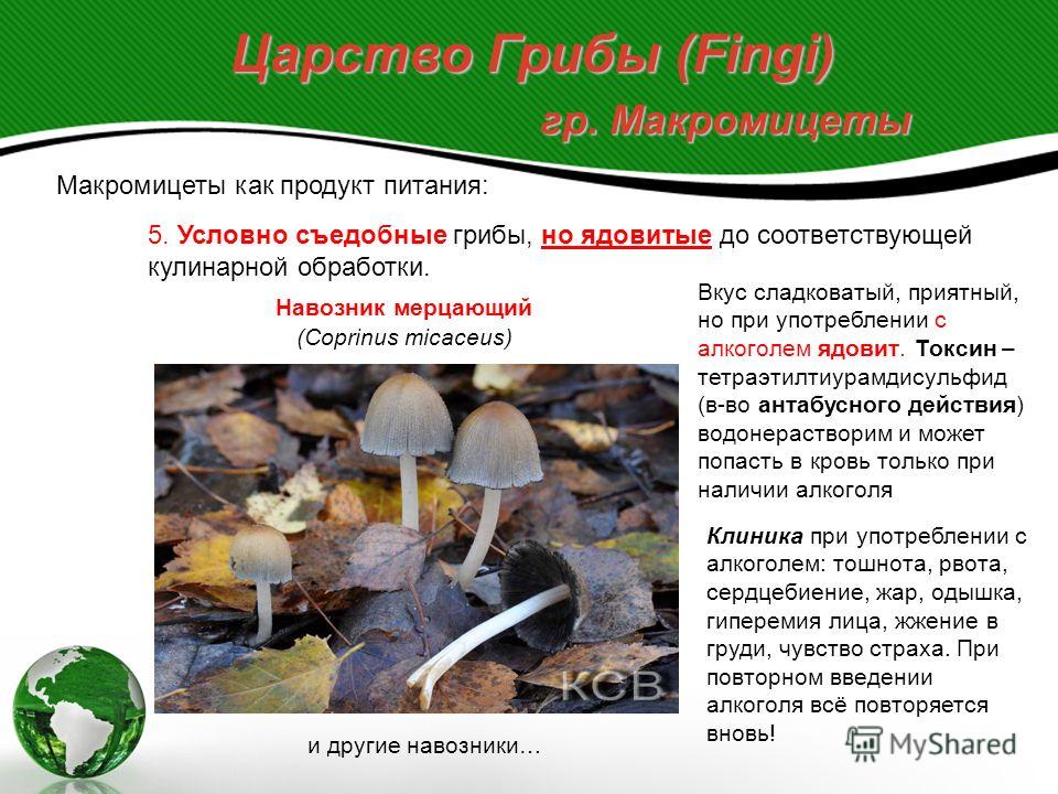 Навозники (грибы). описание, фото и виды