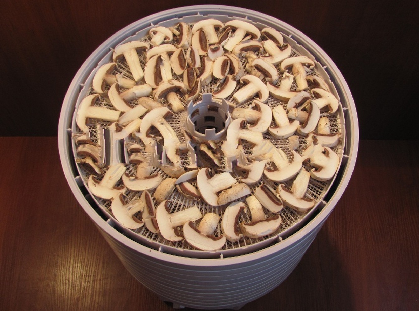 4 способа сушки грибов. как подготовить грибы к сушке