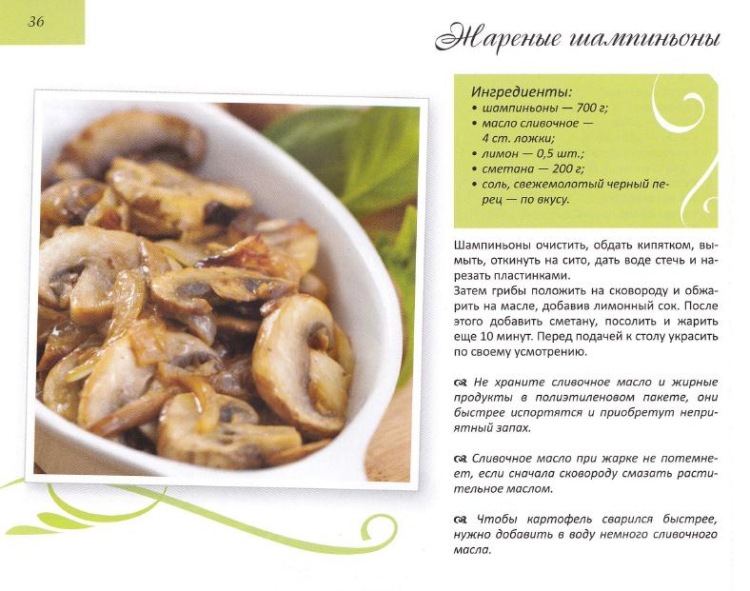 Простые и вкусные блюда из грибов шампиньонов: фото, рецепты приготовления в домашних условиях