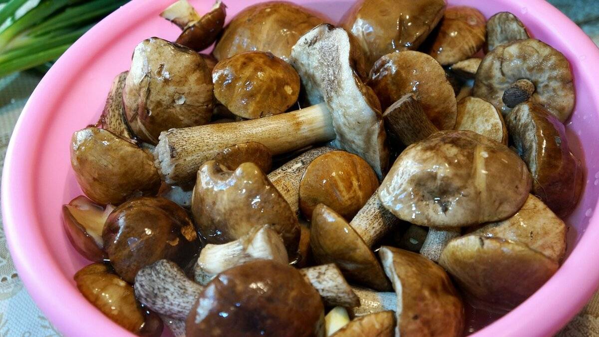 Как хранить сушеные грибы в квартире