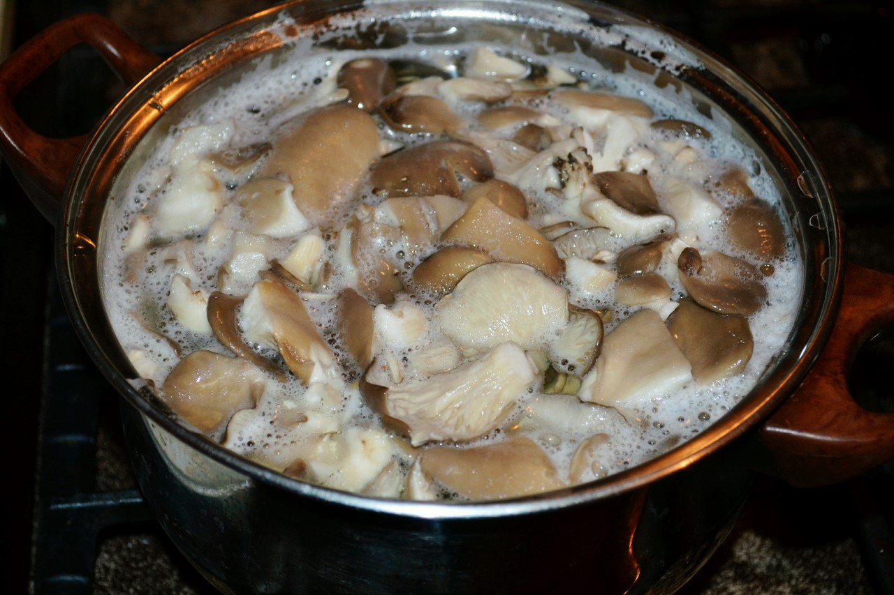 Как реанимировать соленые. Грибы в кастрюле. Вареные белые грибы. Ведро соленых грибов. Грибы белые отварные.