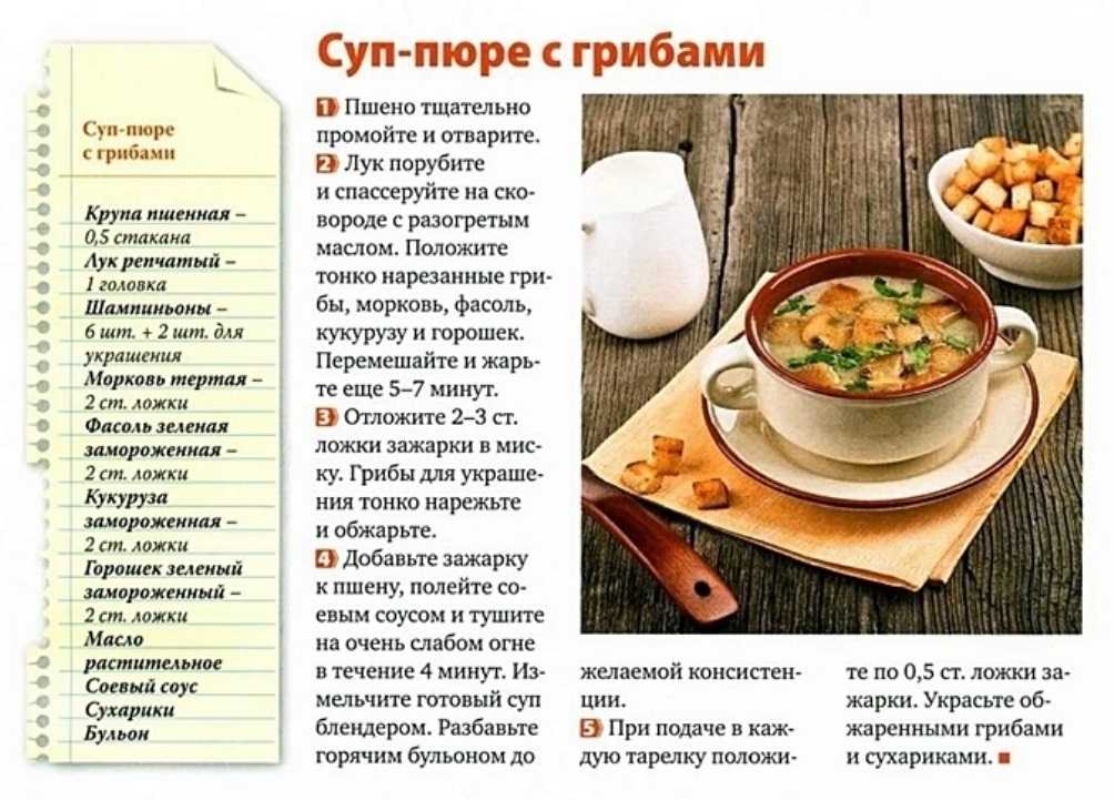 Грибной суп-пюре: 7 вкусных рецептов из грибов