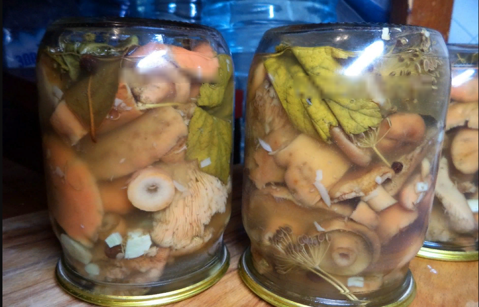 Как мариновать грибы рыжики: легкие и быстрые рецепты
