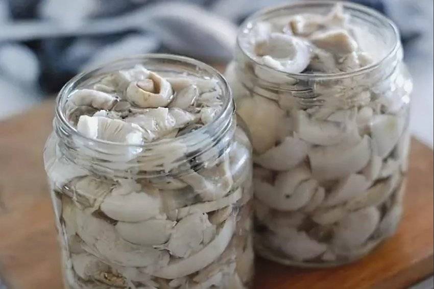 Как правильно солить и мариновать грибы волнушки + видео