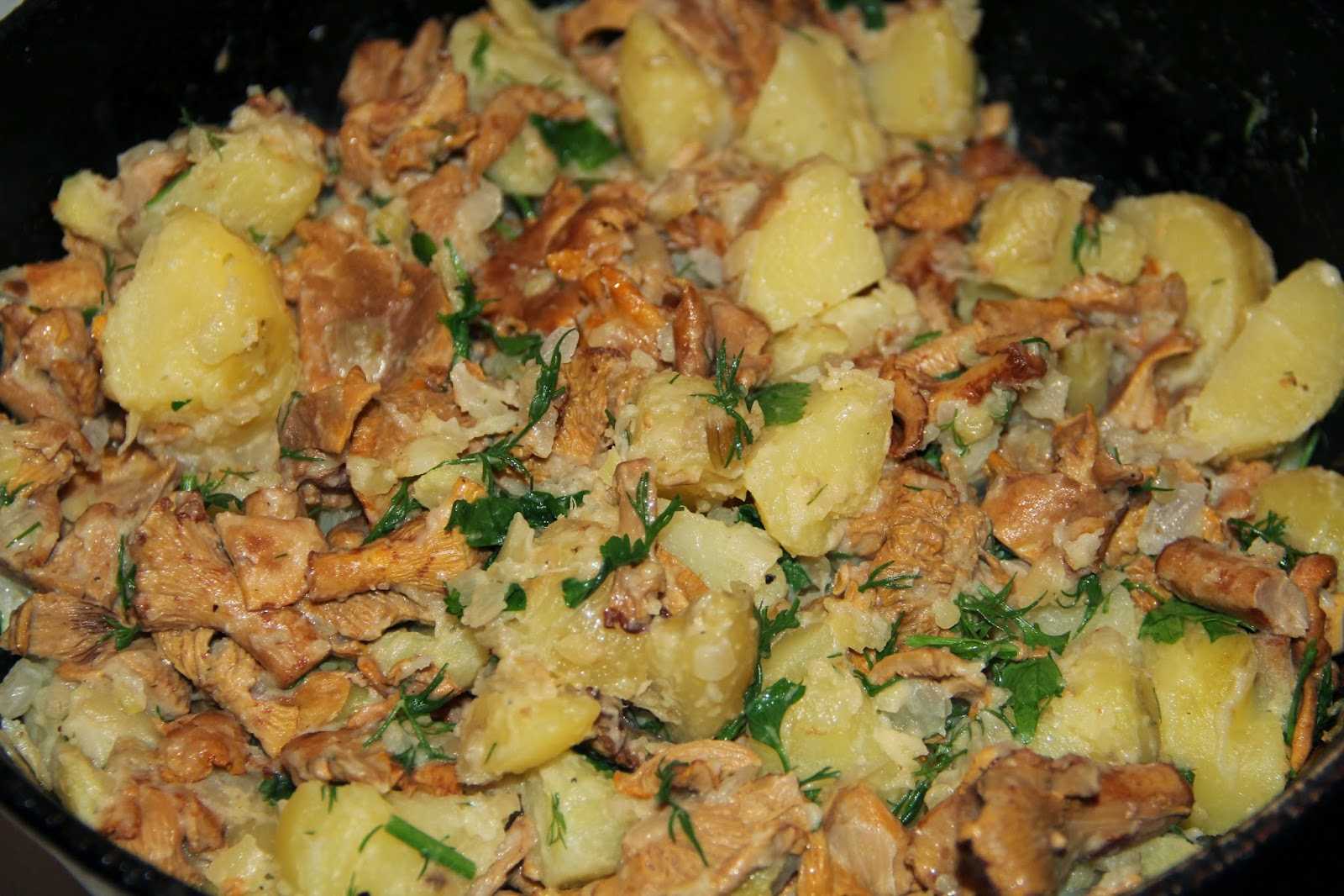 Рецепт картошки с мясом в сметане. Картошка с грибами. Лисички с картошкой в сметане. Картошка с грибами на сковороде. Картофель с лисичками в сметане.