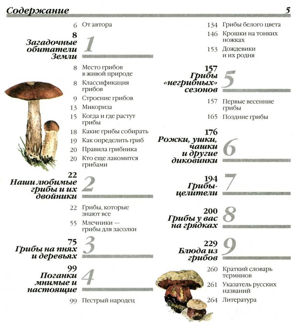 Классы грибов