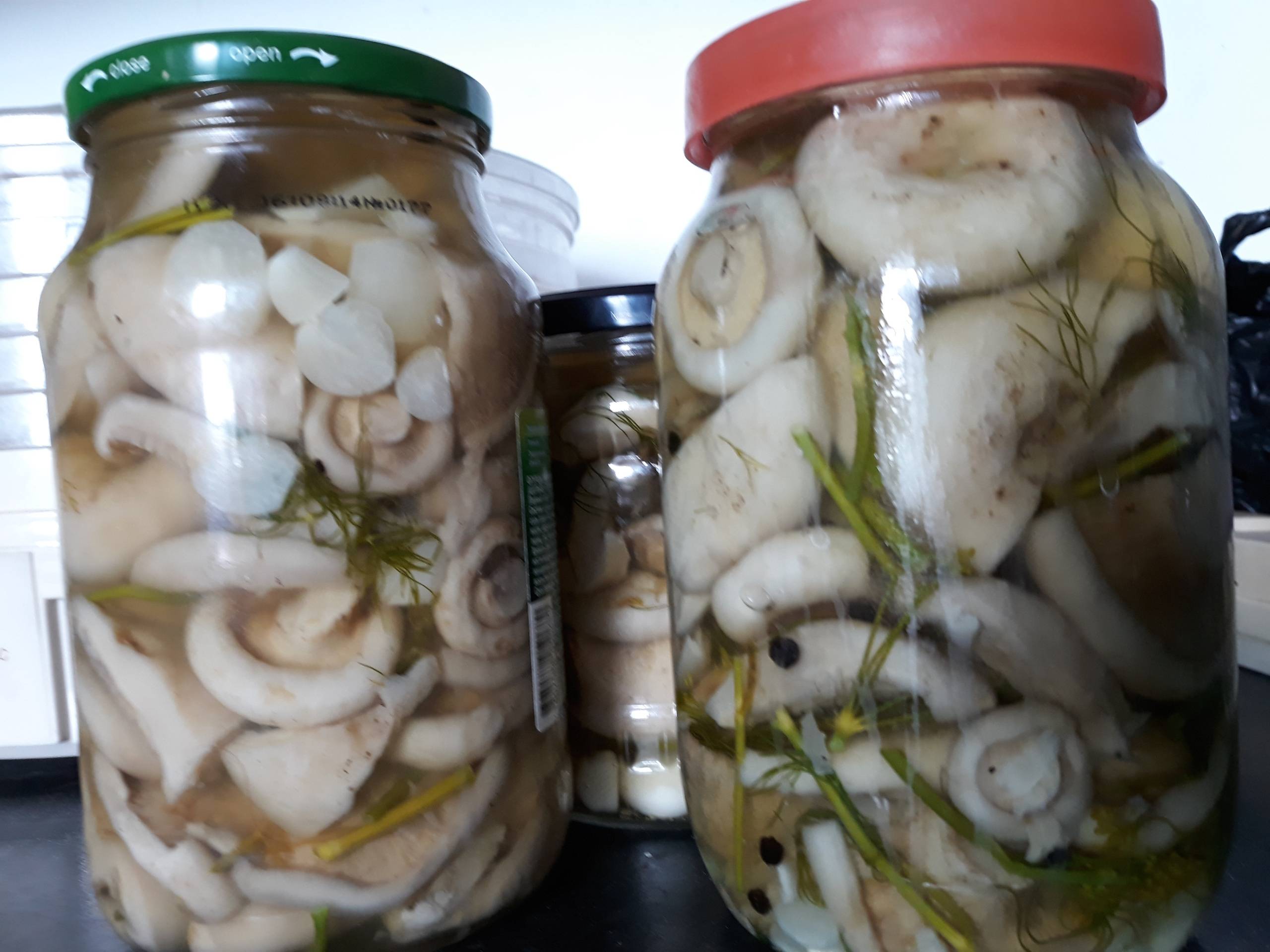 Как засолить грибы серушки на зиму- рецепт пошаговый с фото