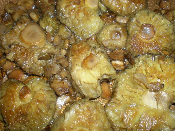 ✅ маринованные грибы серушки рецепт - питомник46.рф