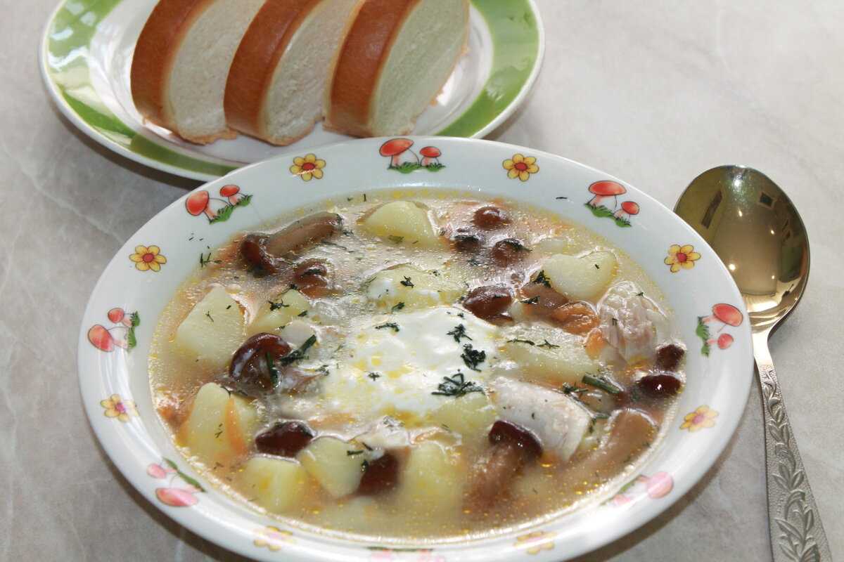Супы из замороженных белых грибов: простые рецепты грибного супа, кулинарные секреты