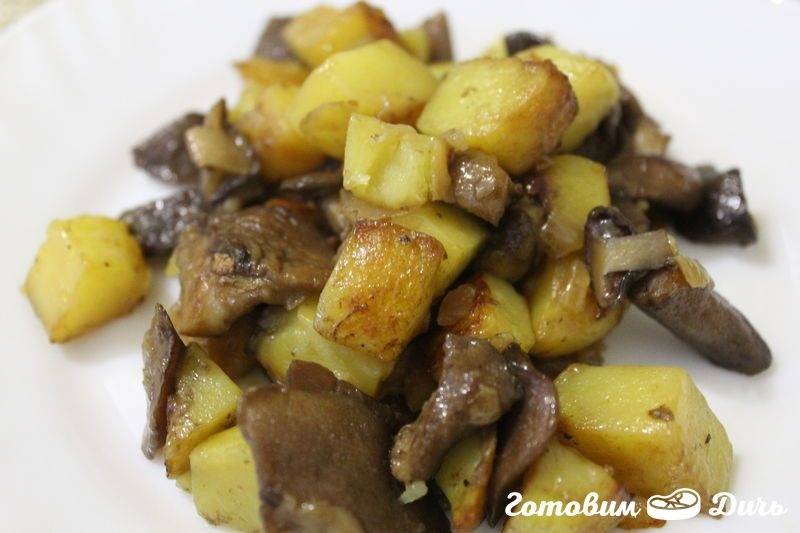 Маслята жареные (тушеные) с картошкой: вкусные рецепты с фото, как приготовить на сковороде, в мультиварке, как пожарить с луком
