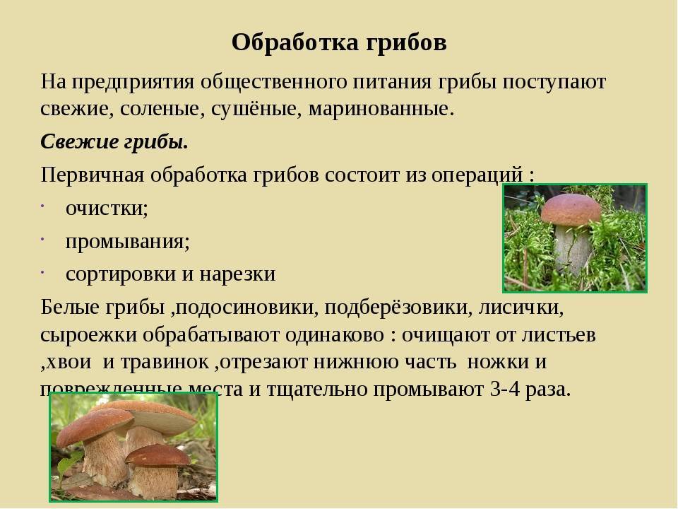 Сколько варить польские грибы? инструкция по времени и процедуре варки