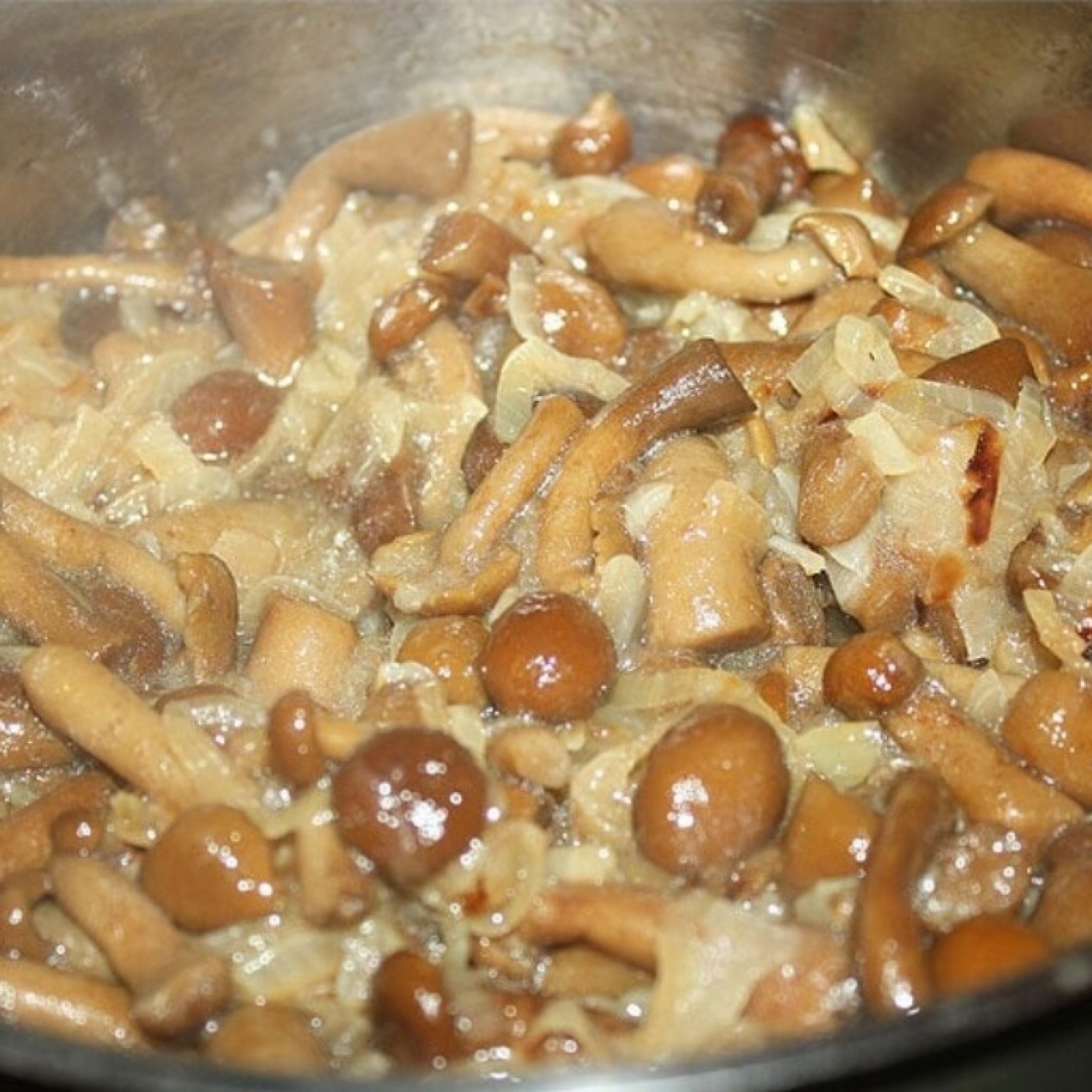Как вкусно приготовить грибы рыжики — простые и быстрые рецепты