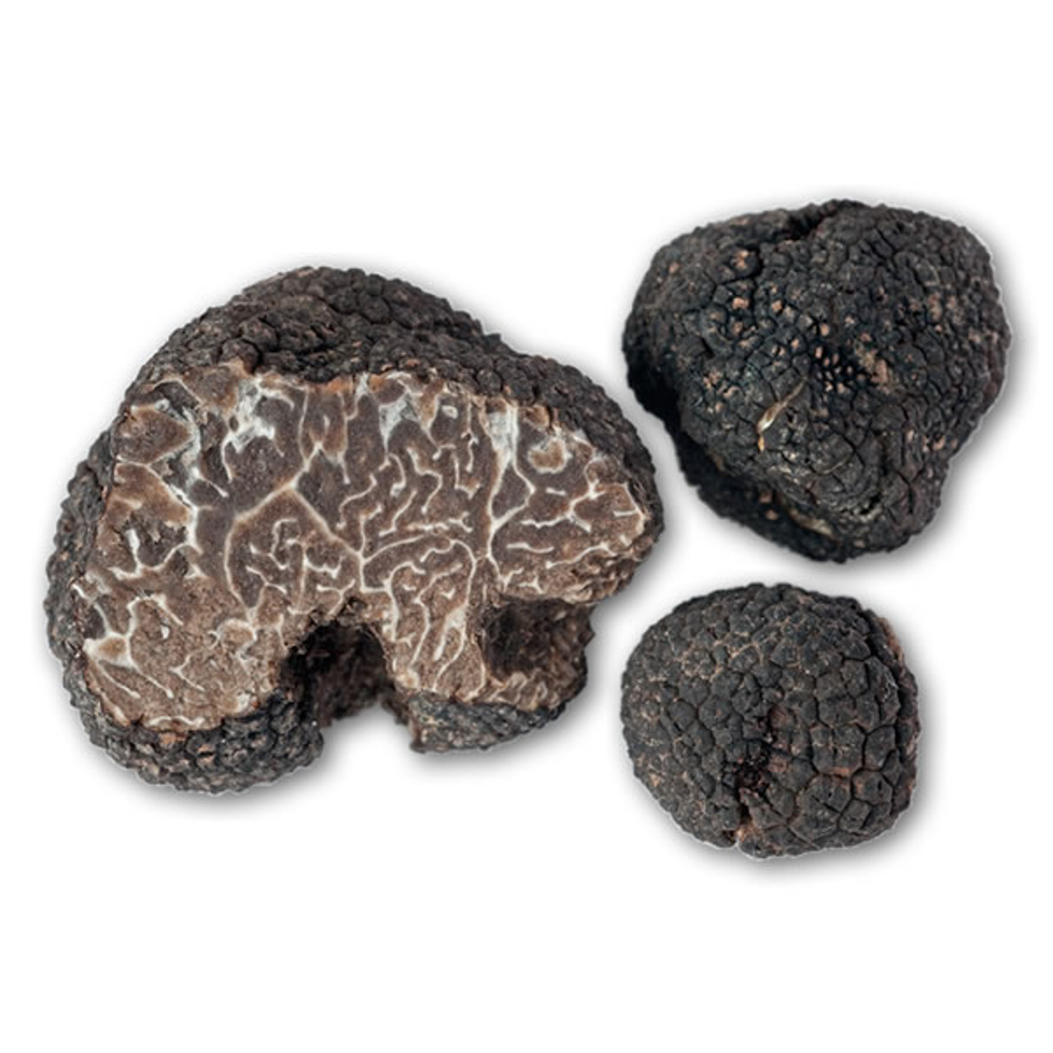 Белый и черный трюфель - неогранённые бриллианты царства грибов - грибы собираем