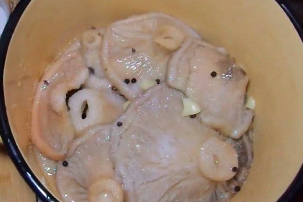Засолка груздей — рецепты заготовки хрустящих грибов в домашних условиях на зиму