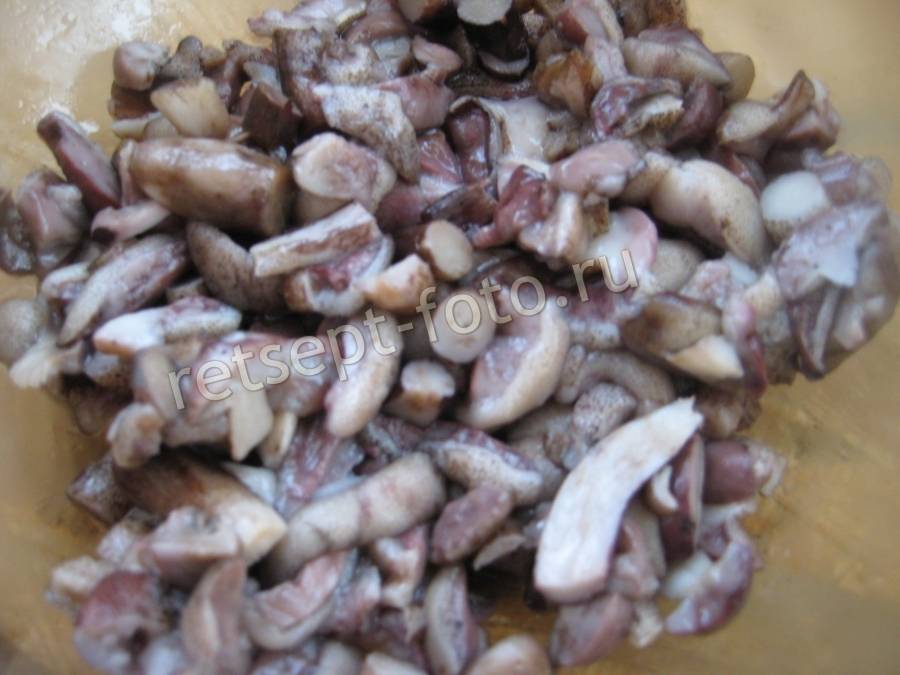 Почему маслята и похожие грибы синеют на срезе, при чистке: причины — викигриб