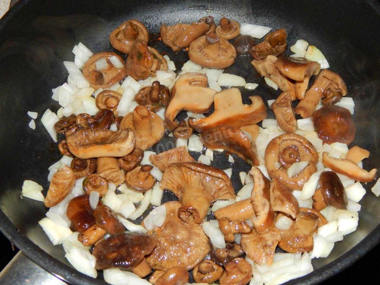 Как приготовить грибы рыжики: лучшие рецепты приготовления с картошкой или в сметане, правила обработки