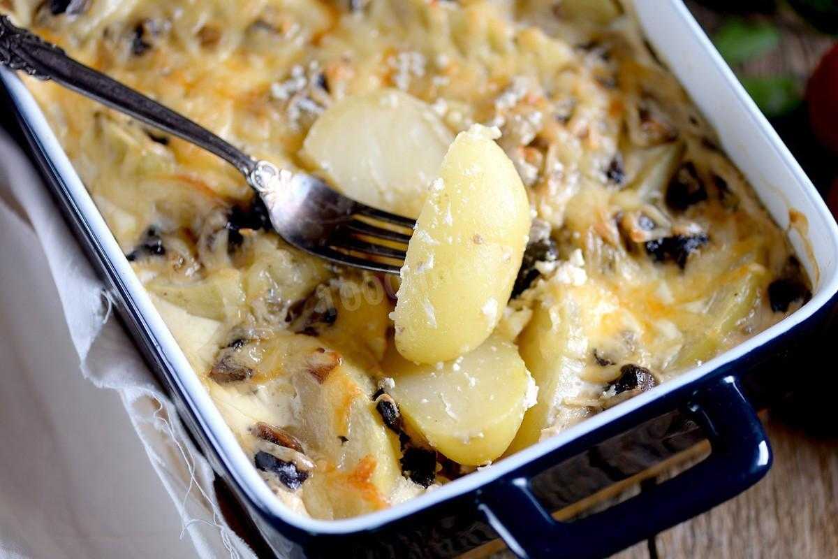 Вкусная картофельная запеканка с грибами – рецепты приготовления в духовке
