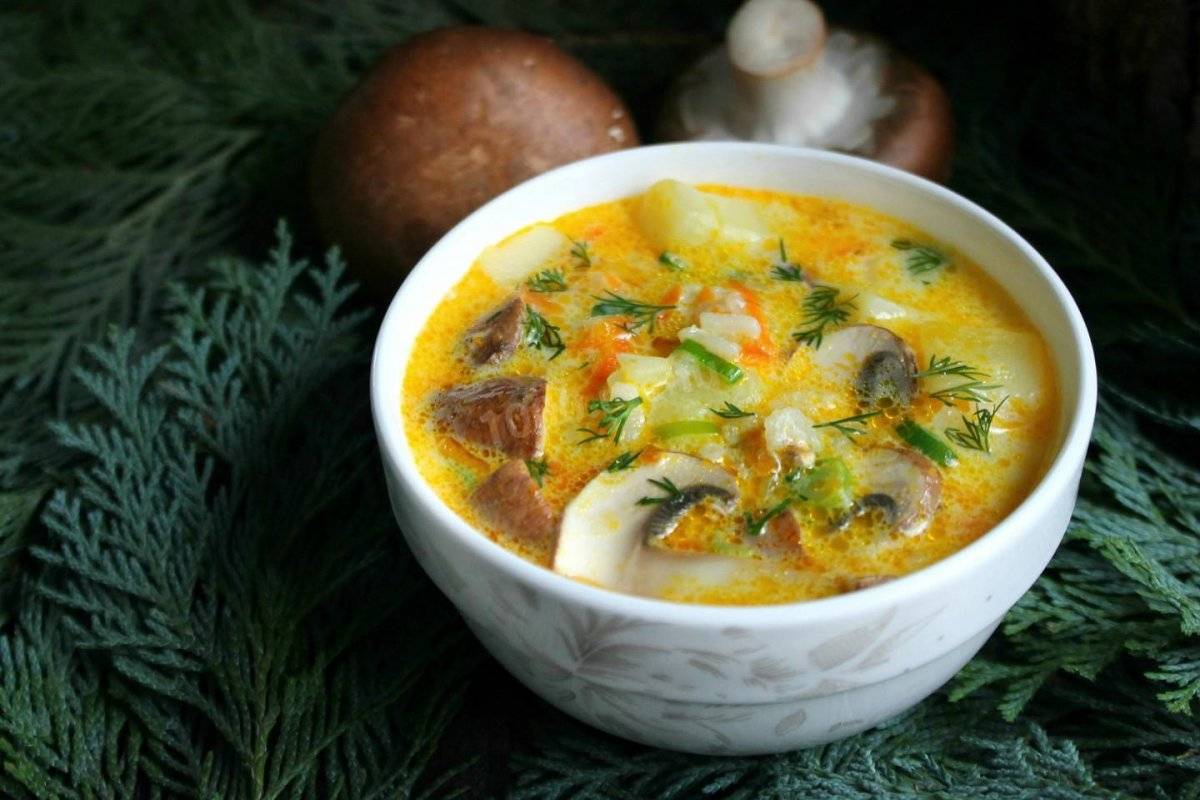 Грибной сливочный суп из шампиньонов: 29 рецептов приготовления с фото в домашних условиях