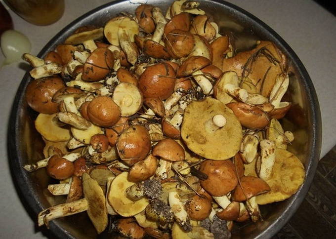 Сколько варить маслята до готовности по времени - грибы собираем