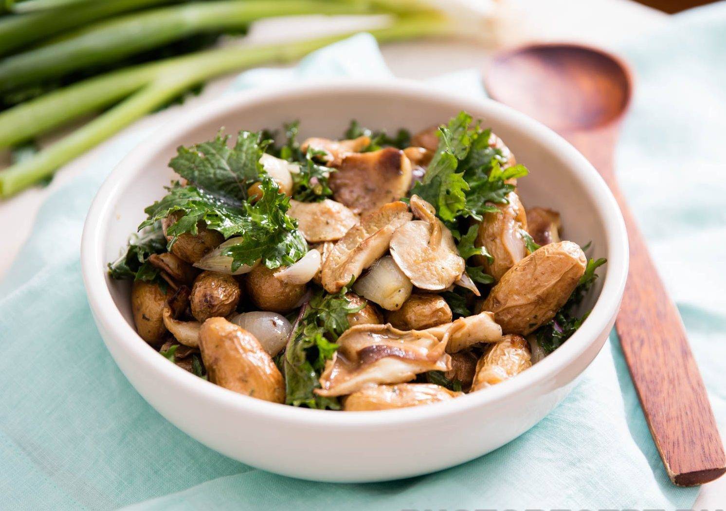 Вкусные салаты с жареными грибами шампиньонами: фото и рецепты приготовления простых и сложных блюд