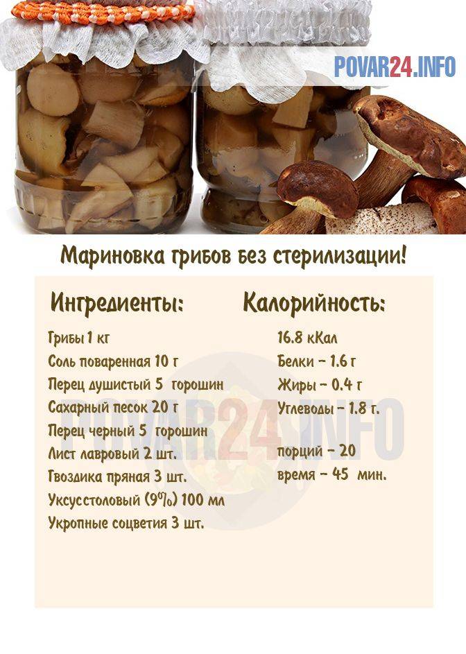 Заготовка грибов на зиму — 15 очень вкусных рецептов: сушенные, маринованные в банках, соленные и другие вариации на любой вкус