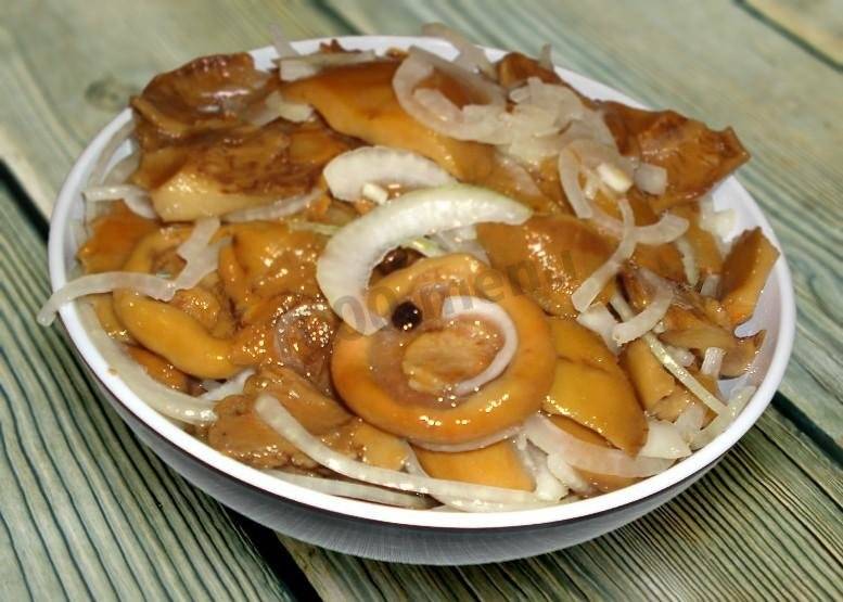 Как готовить грибы рыжики - 9 лучших рецептов