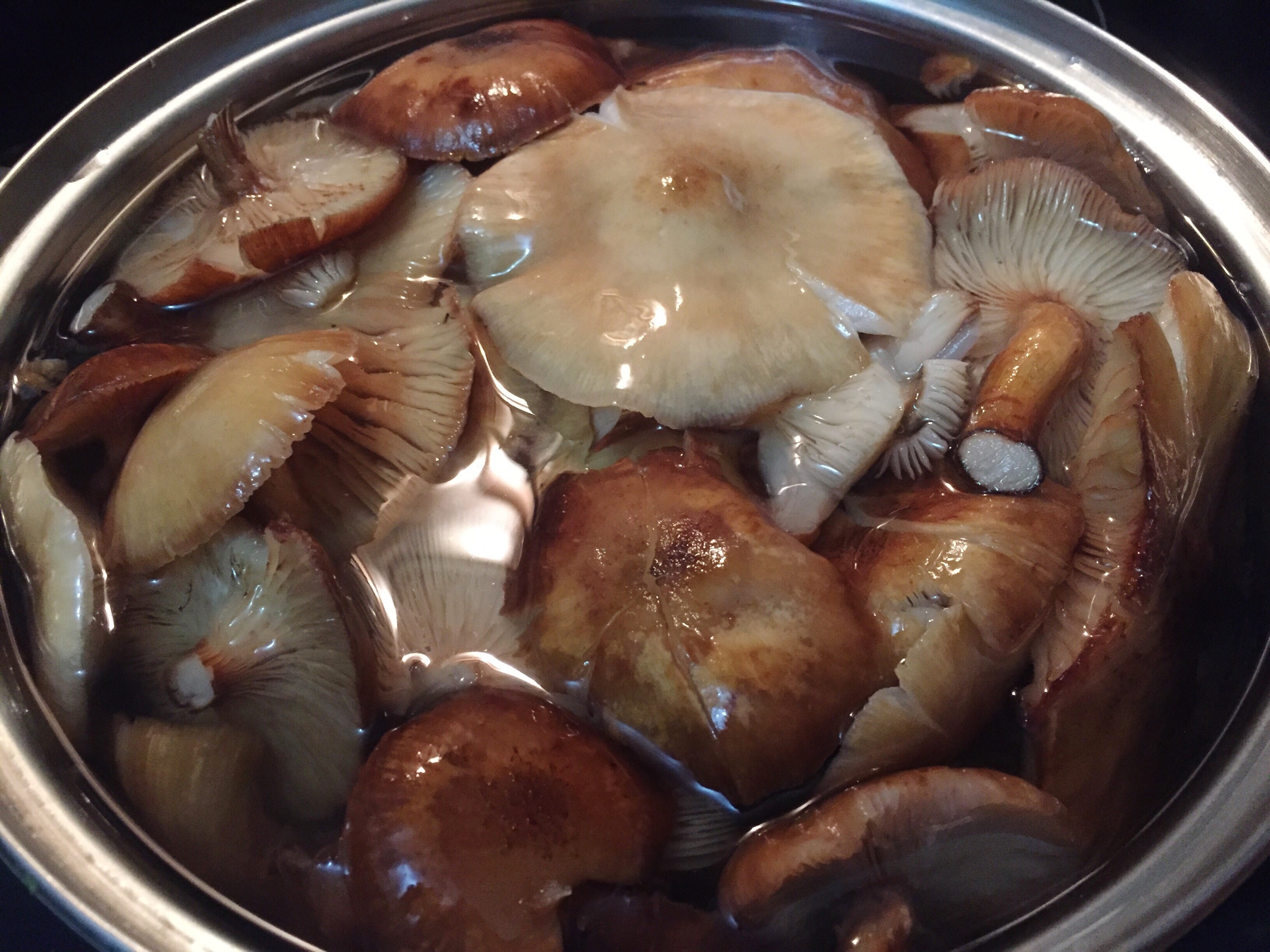 Можно ли переварить грибы. сушеные грибы: способы заготовки, причины отравления