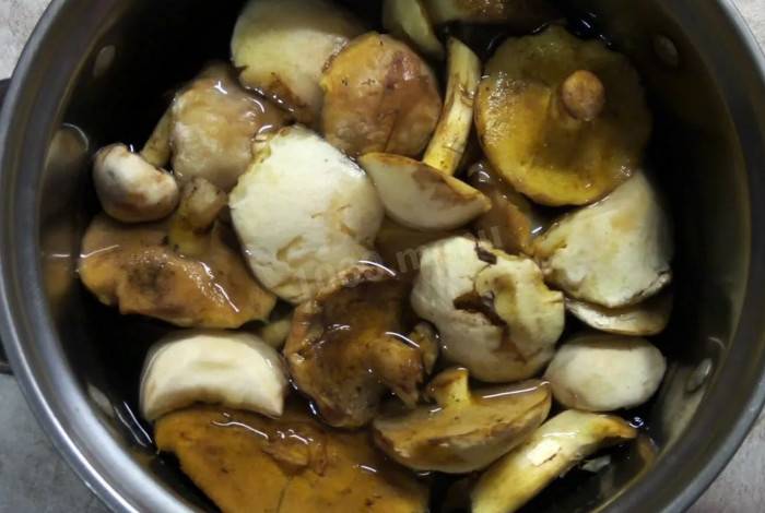 Как варить грибы маслята: нужно ли варить перед жаркой с картошкой, сколько варить до готовности, как правильно варить