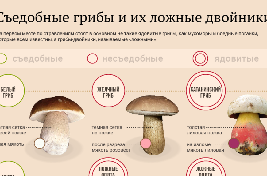 Колобки из грибов и картофеля(для тех кто постится): дневник группы «кулинария»: группы - женская социальная сеть myjulia.ru