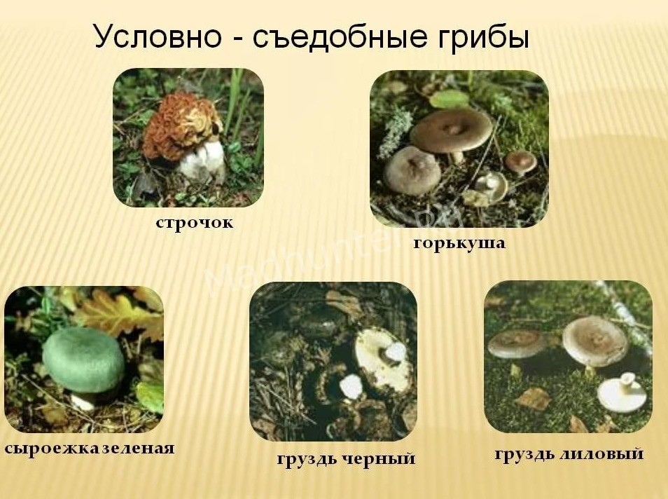 Плов с грибами шампиньонами и риса: 17 рецептов приготовления с фото пошагово, калорийность