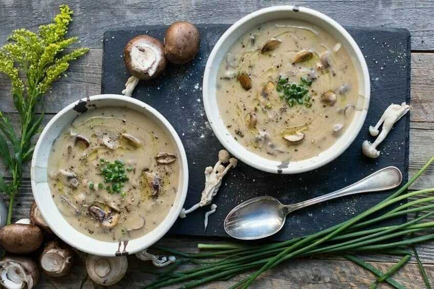Грибной суп из шампиньонов: как приготовить суп из свежих грибов