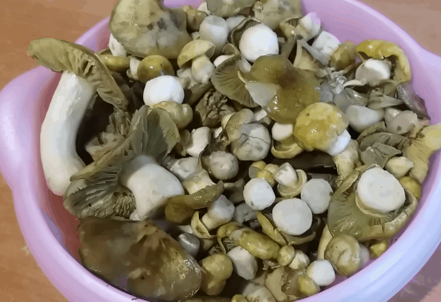 Приготовление грибов зеленушек на зиму: 11 лучших рецептов заготовок