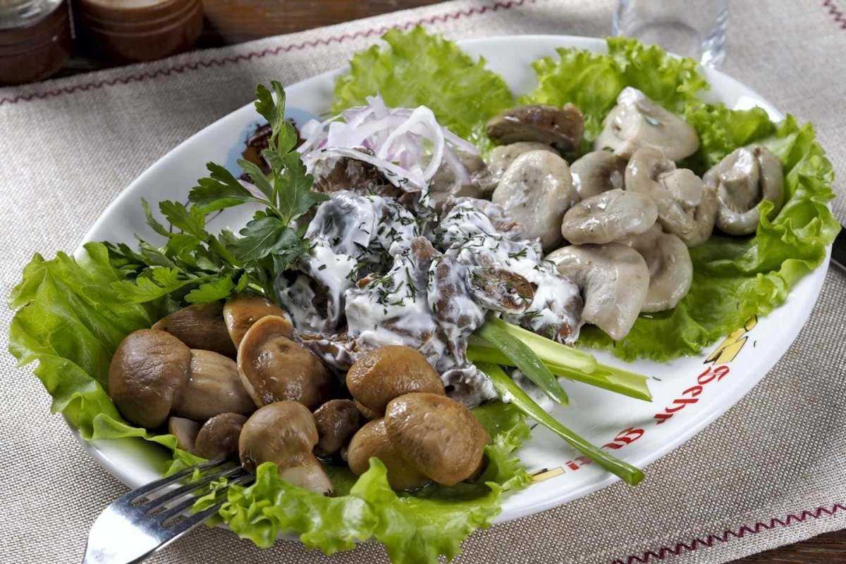 Домашняя ароматная груздянка: особенности и рецепты приготовления супов из замороженных или солёных грибов