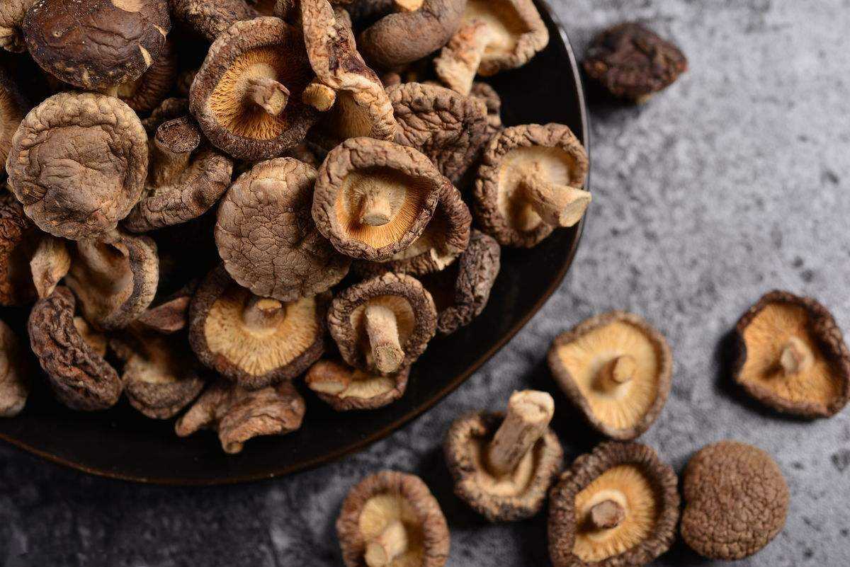 Как нужно готовить сушеные грибы