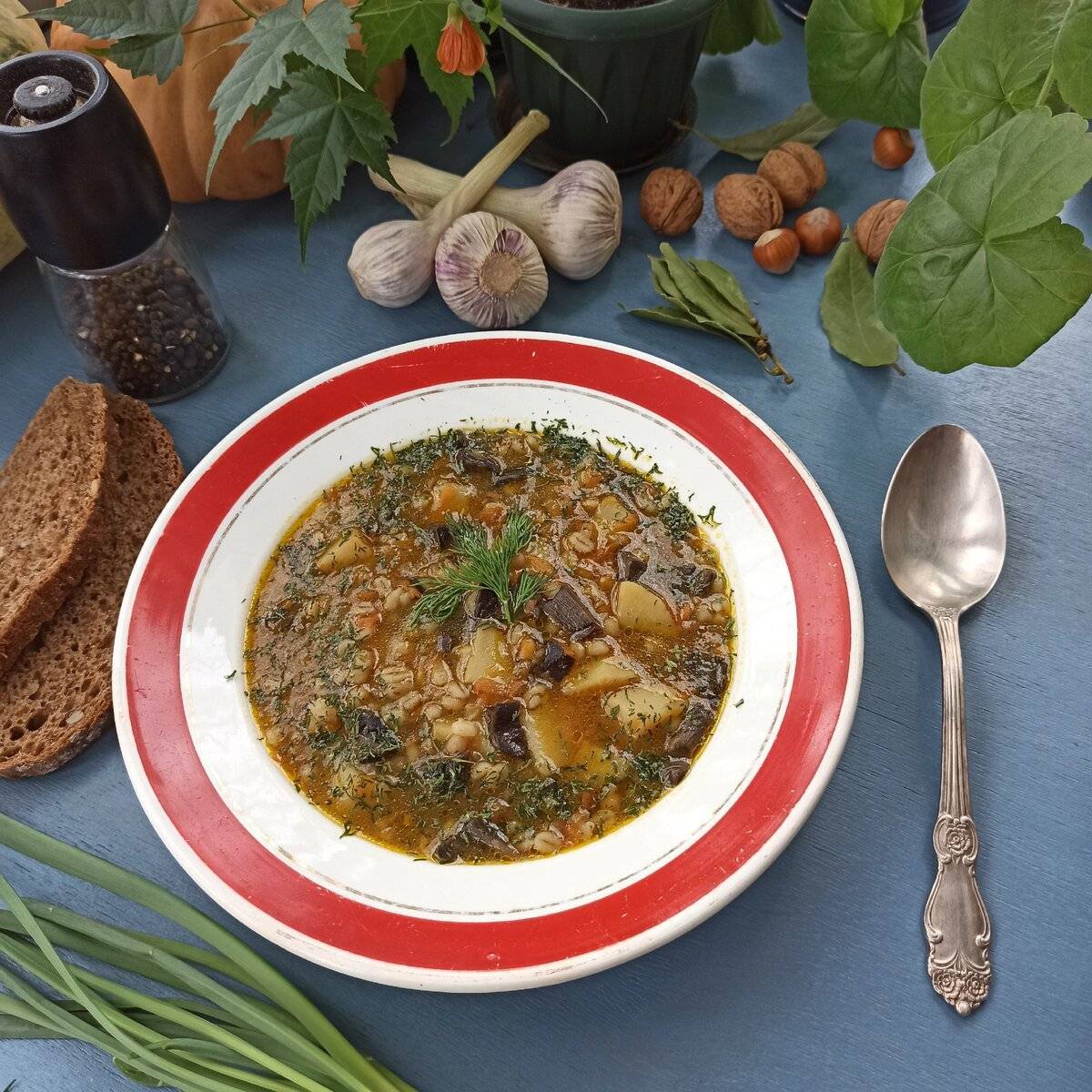 Суп из сушеных грибов: полезные советы и топ-4 рецепта