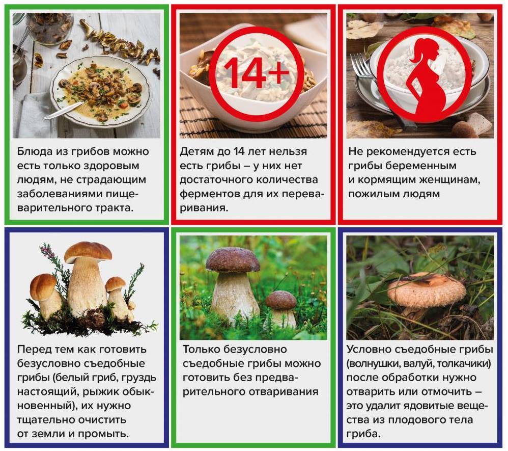 Блины с мясом и грибами: 12 рецептов приготовления вкуснейшей начинки в домашних условиях с фото