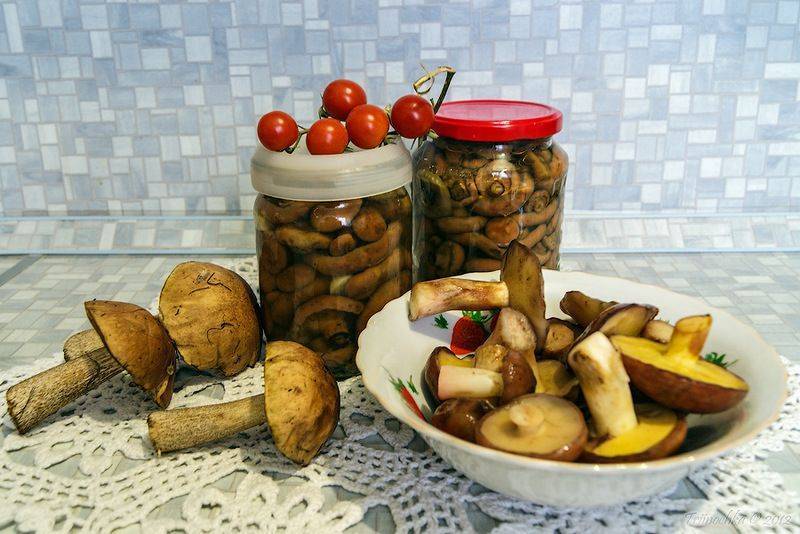Маринованные подберезовики – нежное летнее угощение долгой зимой - грибы собираем