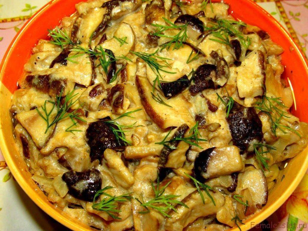 Как вкусно приготовить грибы рыжики в сметане: фото, рецепты приготовления грибных блюд