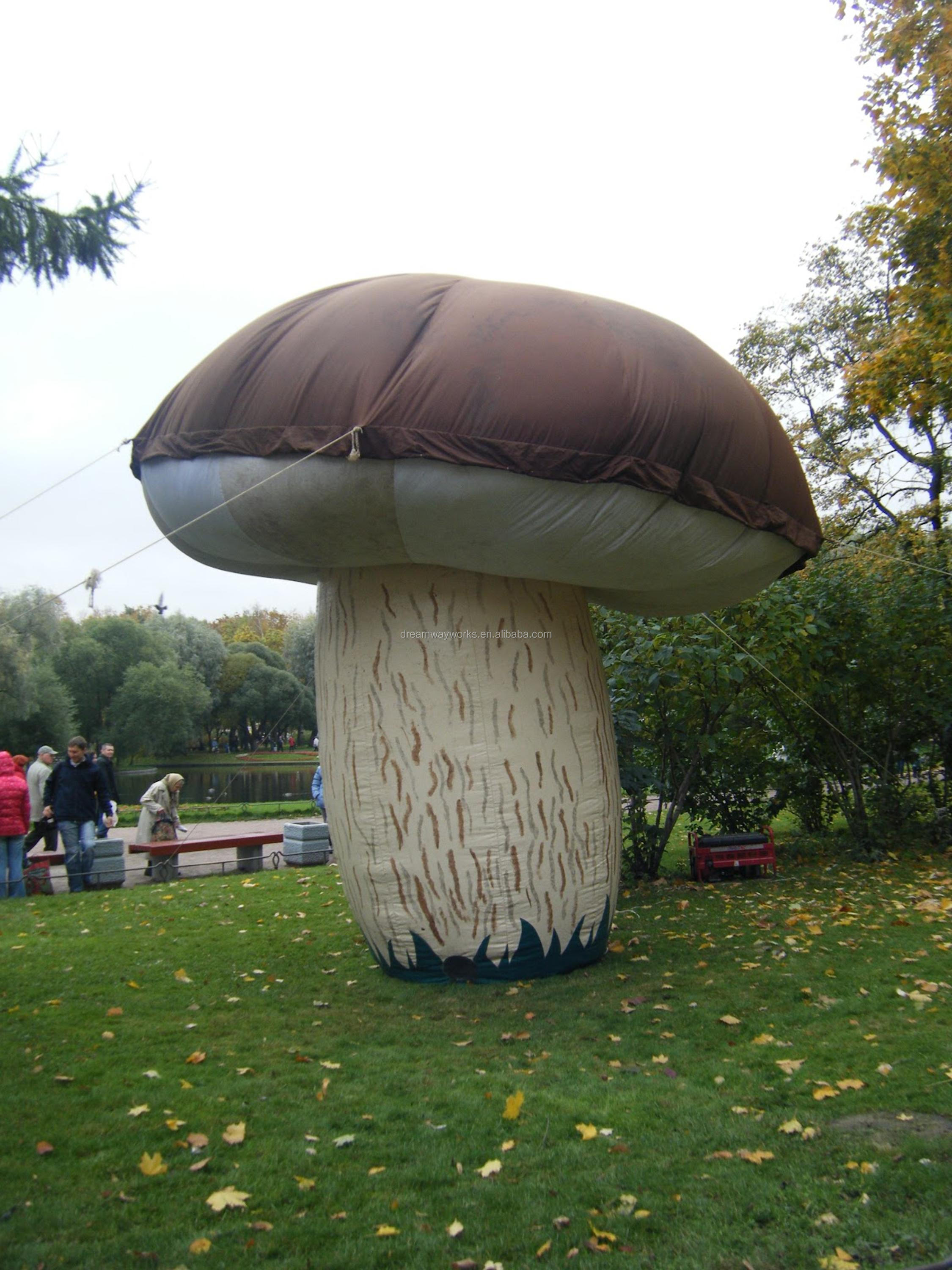 Самый большой гриб в мире как приз любителям тихой охоты