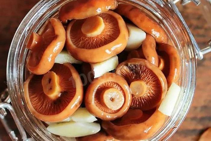 Как готовить грибы рыжики: рецепты блюд с описанием