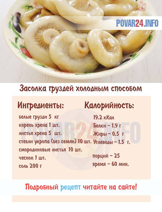 Как варить груздянку (суп из груздей): рецепт из замороженных, свежих, солёных и сухих грибов