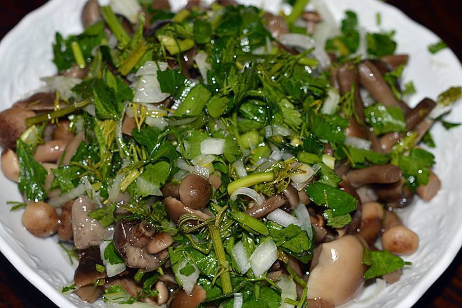 Рецепт слоеного салата с солеными грибами | меню недели