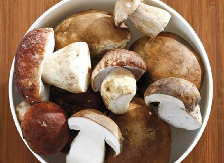 Сколько по времени варить грибы перед заморозкой