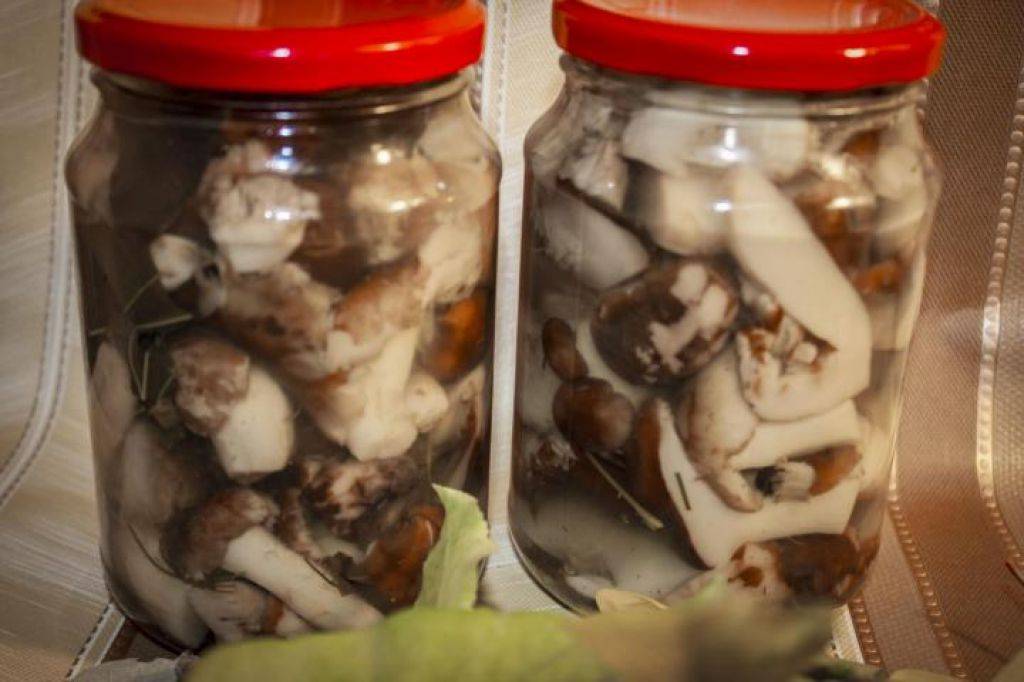 Как солить грибы валуи - грибы собираем