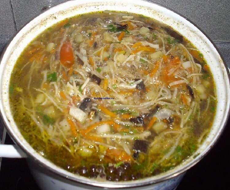 Щи с белыми грибами: пошаговый рецепт с фото, где показано приготовление супа с капустой