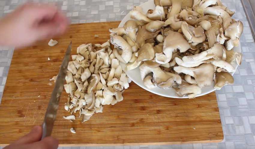 Как чистить вешенки – правильно и с толком - грибы собираем